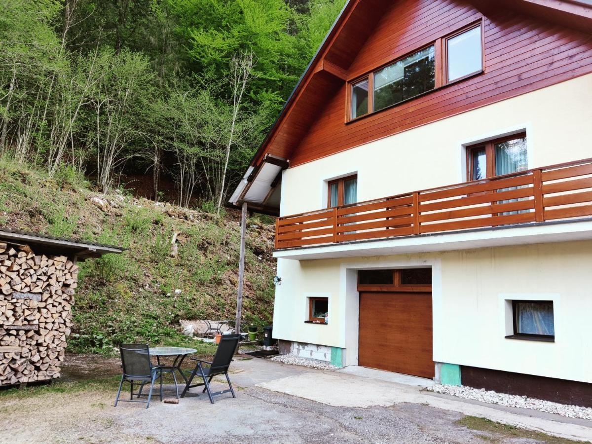 Seeblick Krippenstein โอเบอร์ทราวน์ ภายนอก รูปภาพ
